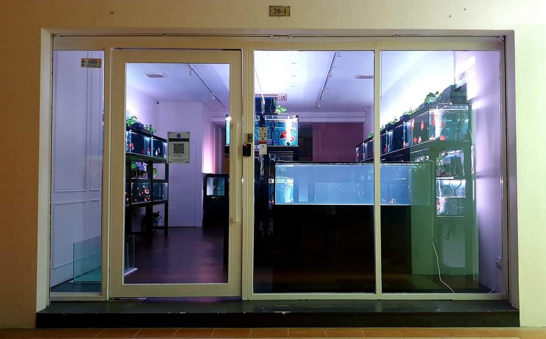 SA Fish World (Aquatic Shop Shah Alam) 3