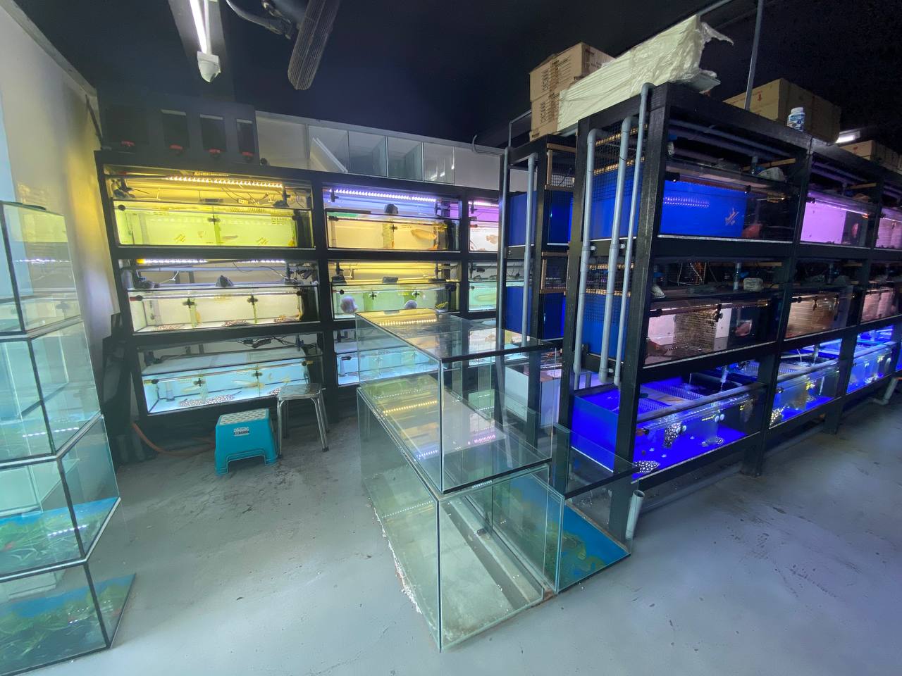 SA Fish World (Aquatic Shop Shah Alam) 7