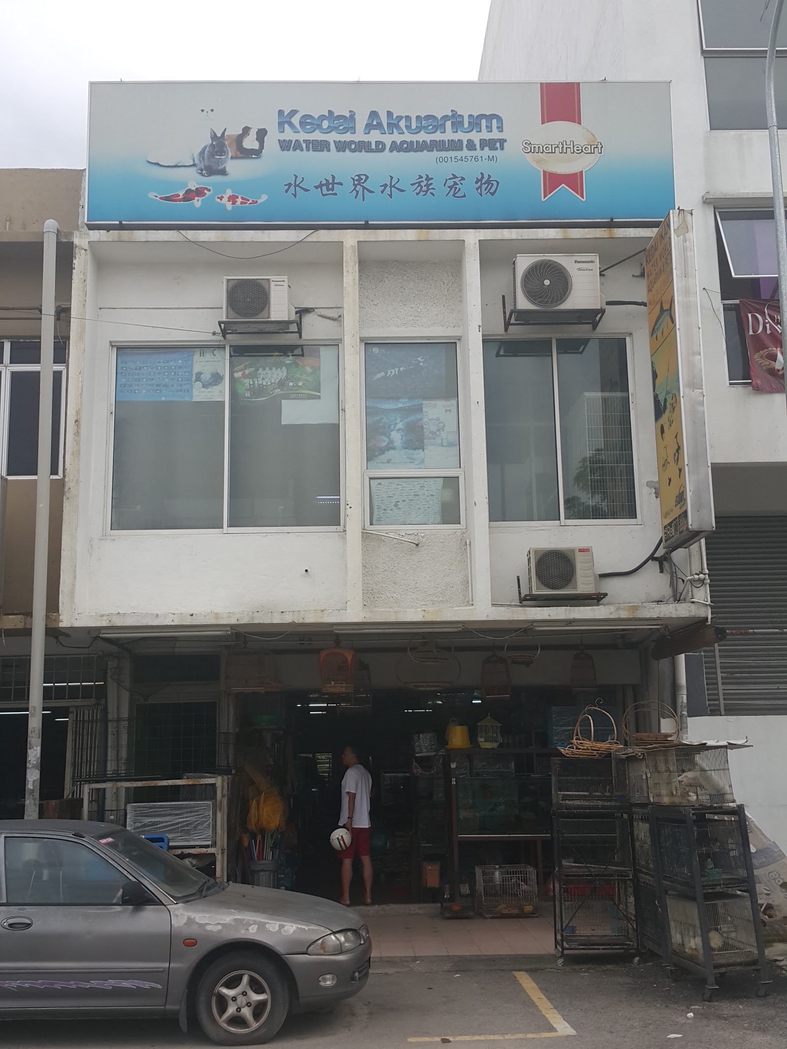 SA Fish World (Aquatic Shop Shah Alam) 10